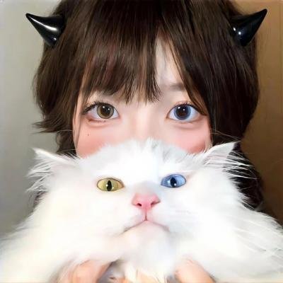 吉什岛的故事 在线观看